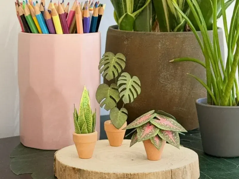 Flat lay of craft tools and small plant components