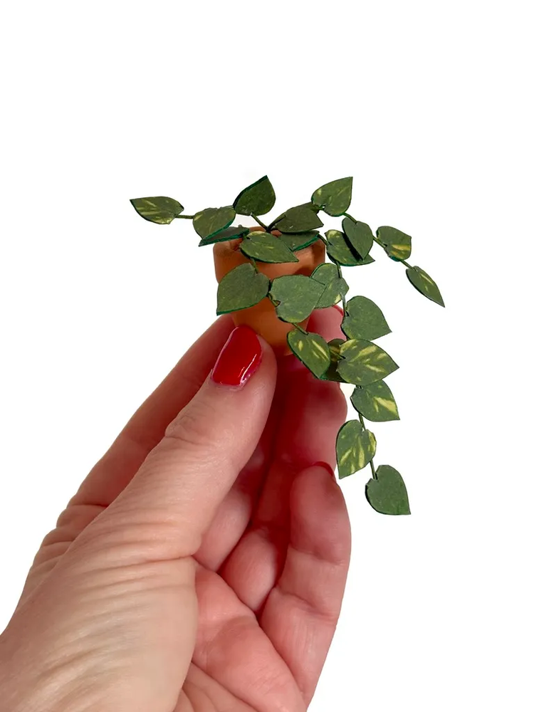 ‘You’re So Vine’ Miniature Pothos Paper Plant photo 1