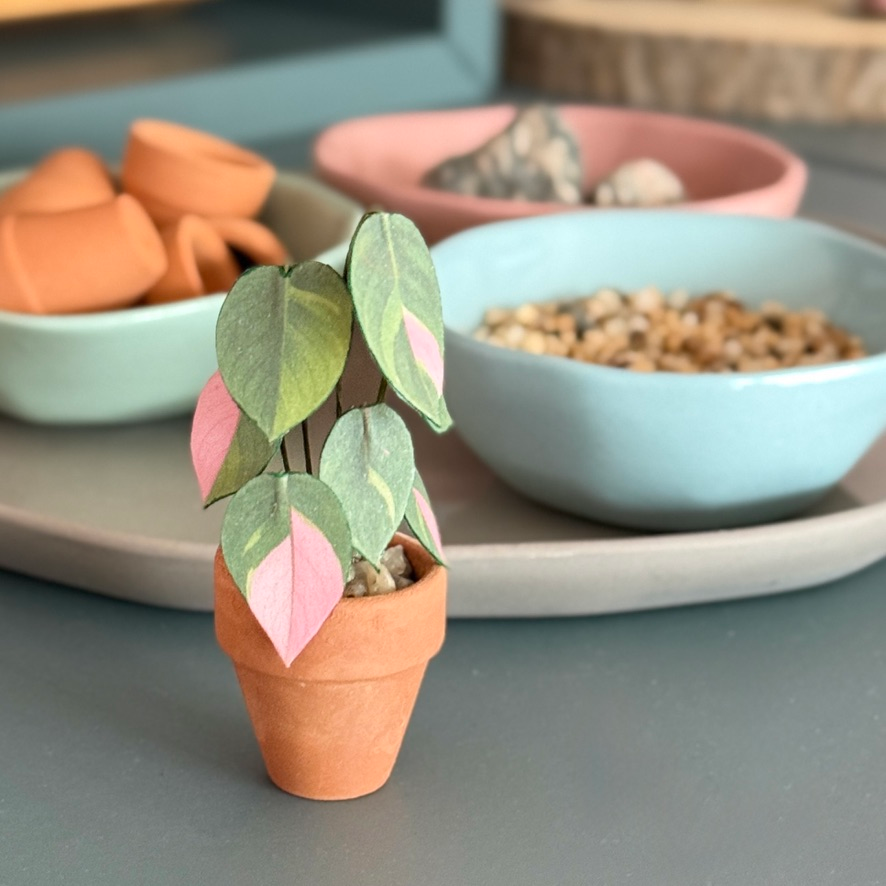 ‘Leaf Me to Rule’ Miniature Philodendron Pink Princess Paper Plant photo 0