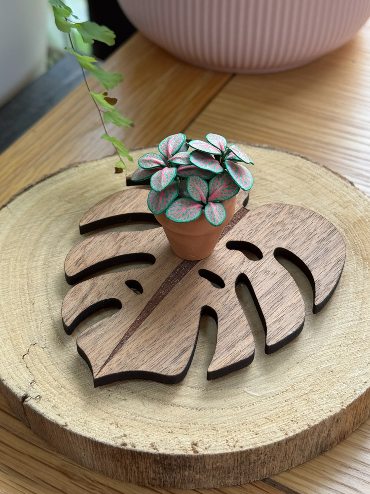 ‘You’ve Got Nerve’ Miniature Fittonia Paper Plant photo 2