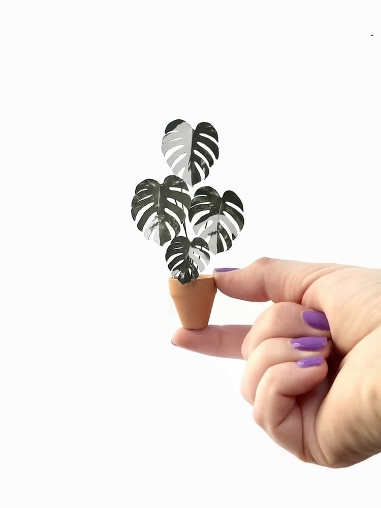 ‘You’re So Fake’ Miniature Monstera Paper Plant photo 1