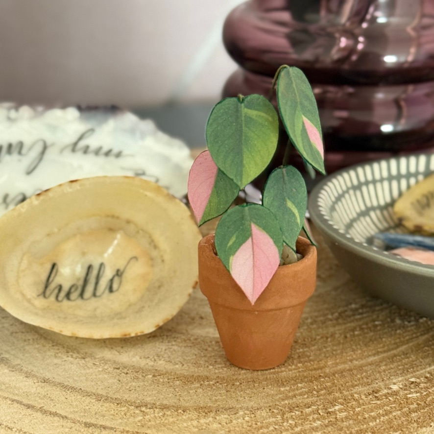 ‘Leaf Me to Rule’ Miniature Philodendron Pink Princess Paper Plant photo 2
