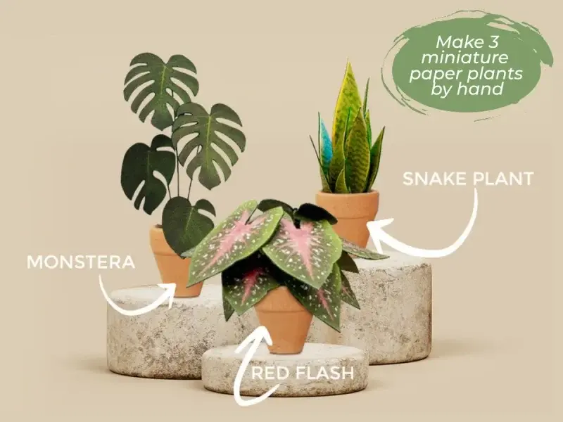 Open craft box on a table with small plants and tools visible