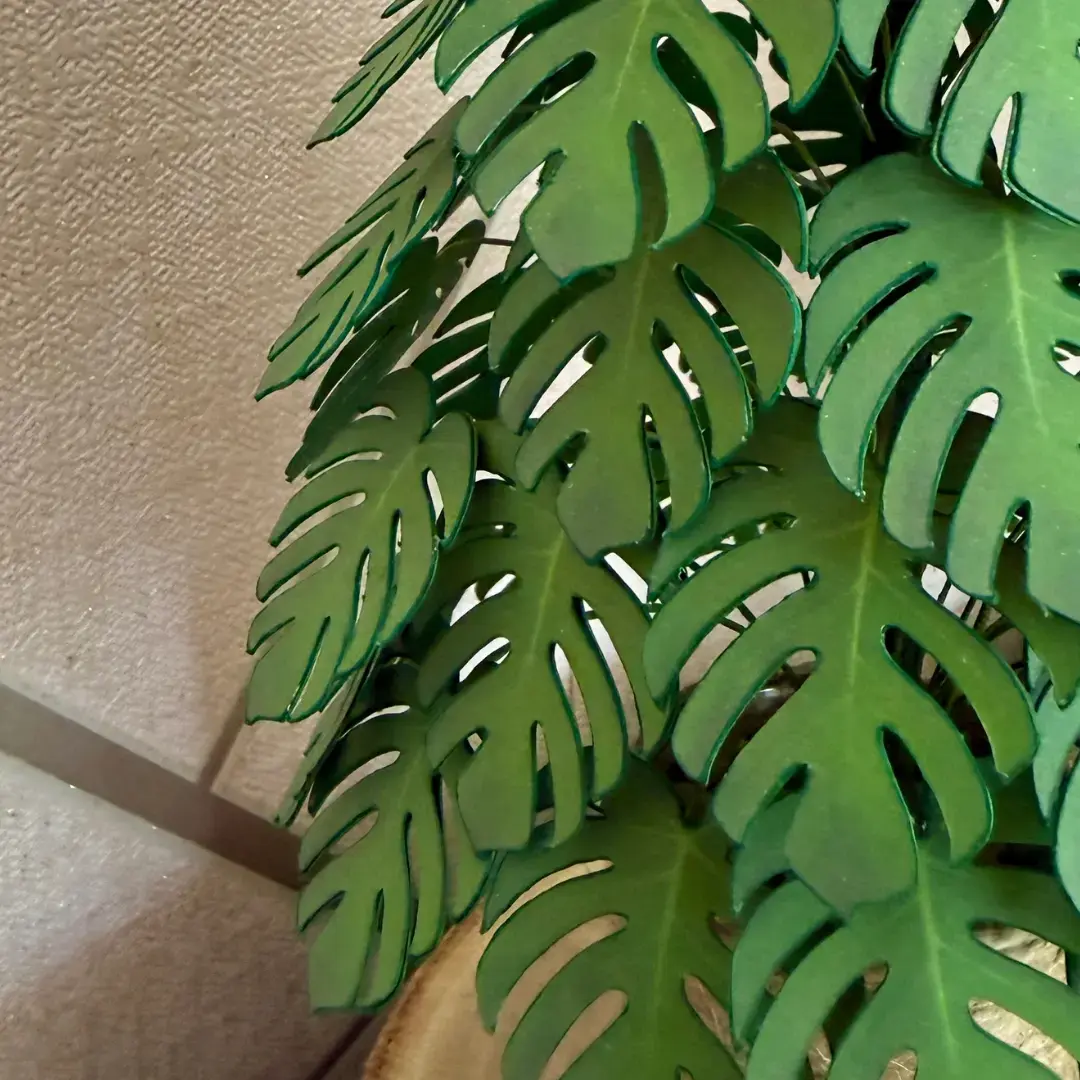 Monstera tree leaves