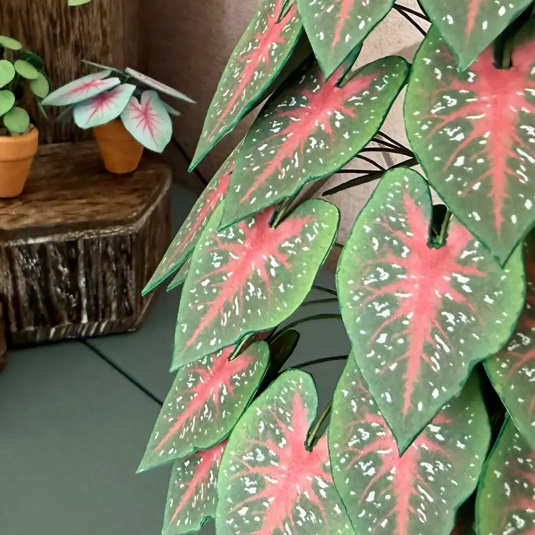 Red Flash tree leaves