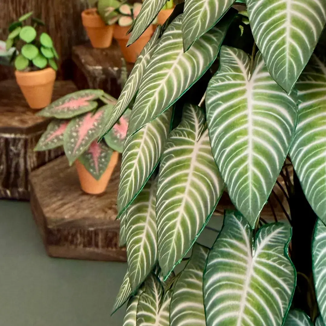 Xanthosoma tree leaves