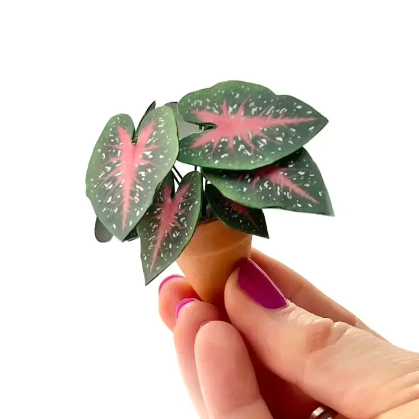 Red Flash hand