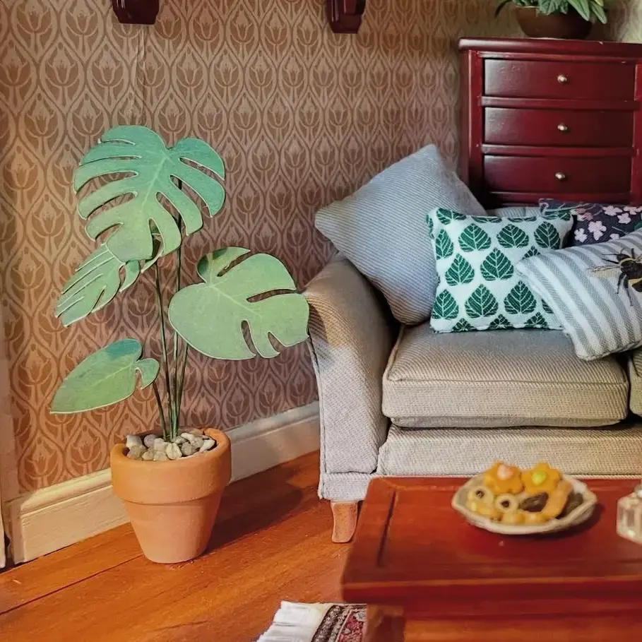 Monstera Deliciosa UGC 22