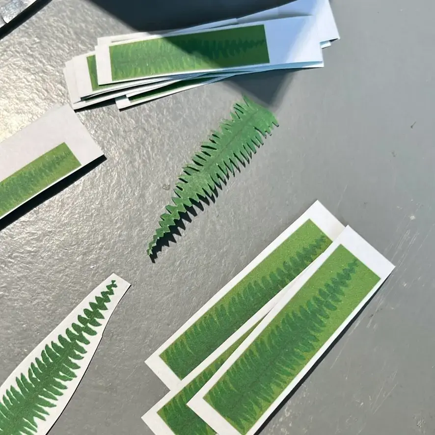 Fern UGC 8