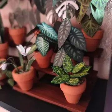 Pictum UGC 10