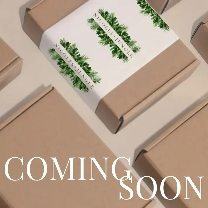Coming Soon