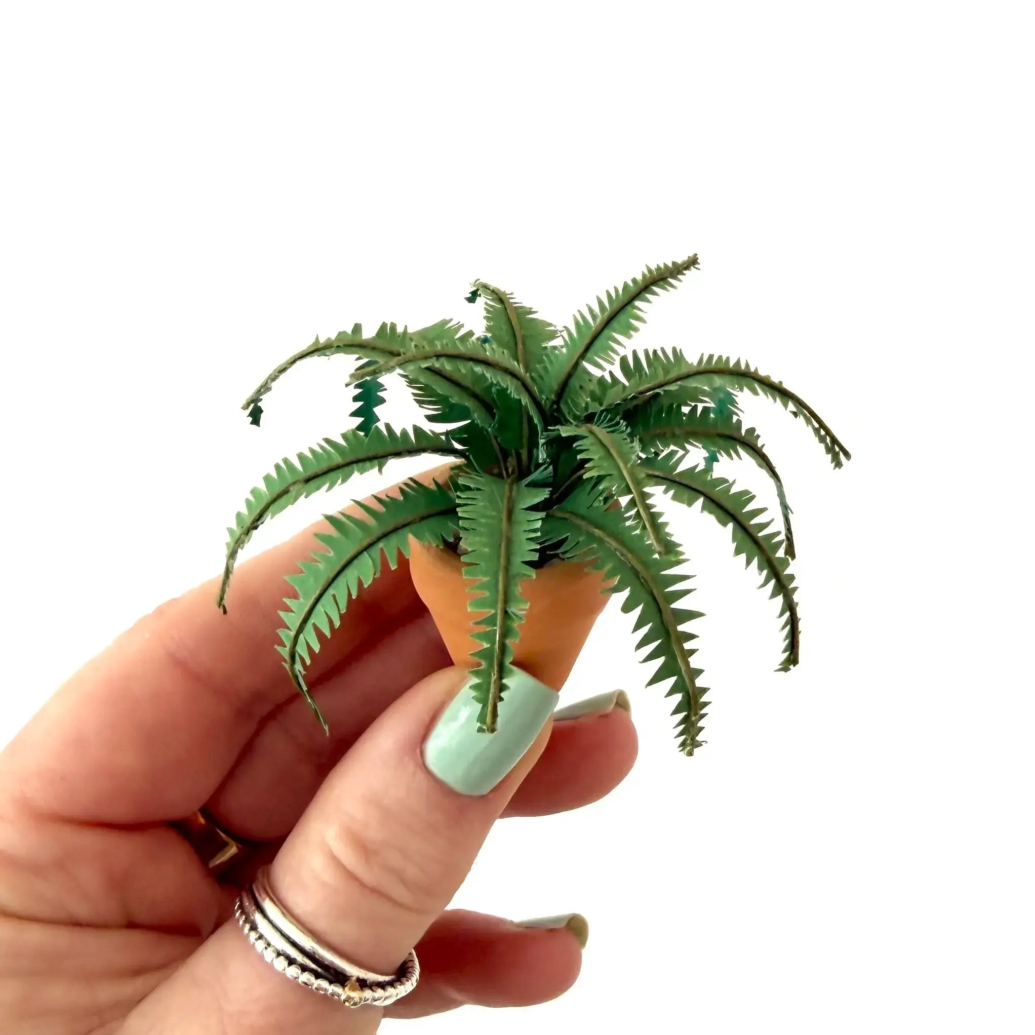 Boston Fern Hand
