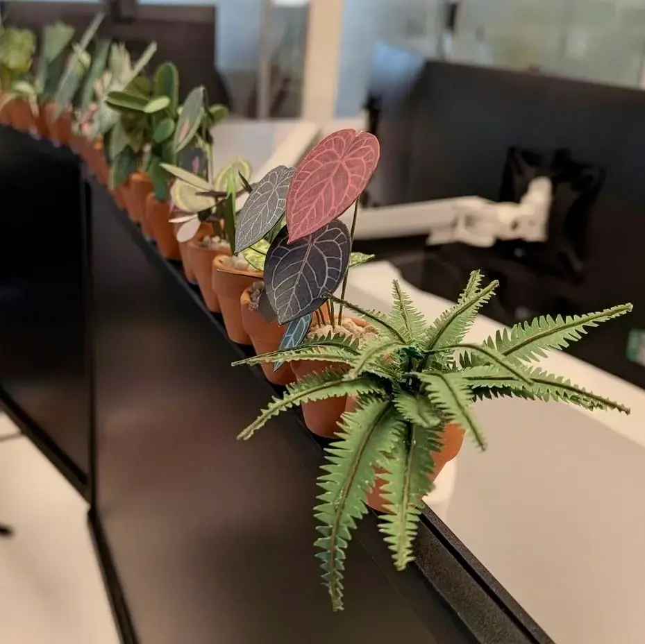 Fern UGC 18