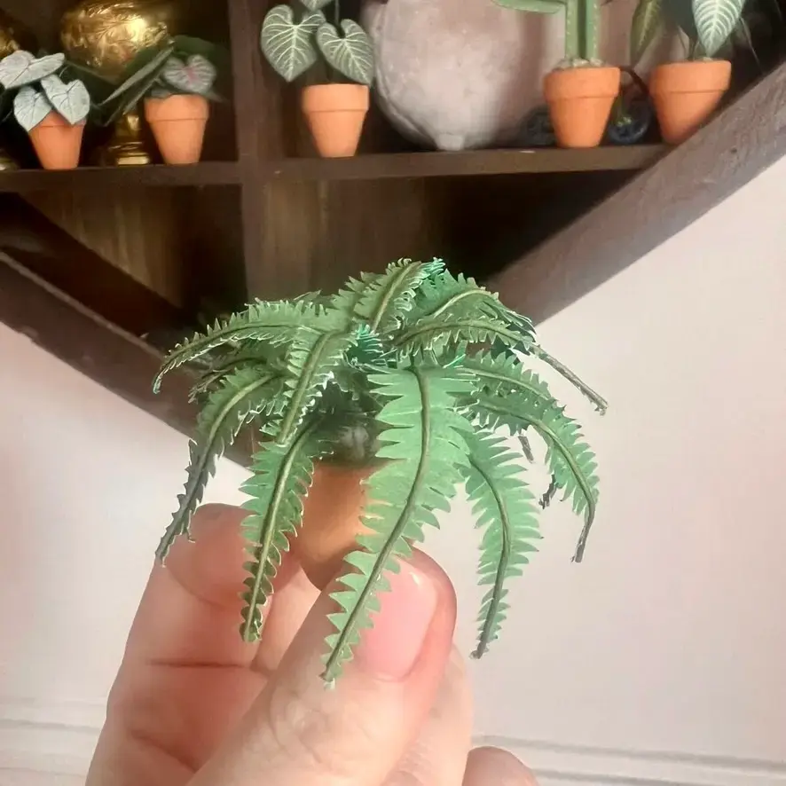 Fern UGC 9