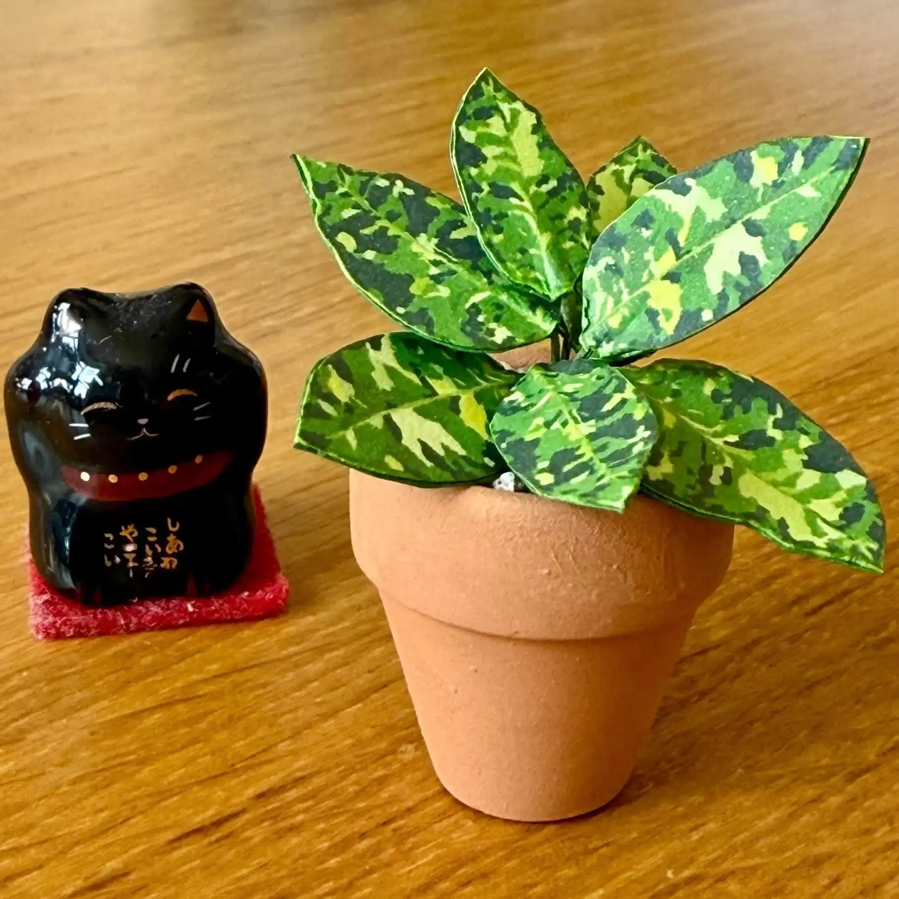 Pictum UGC 4