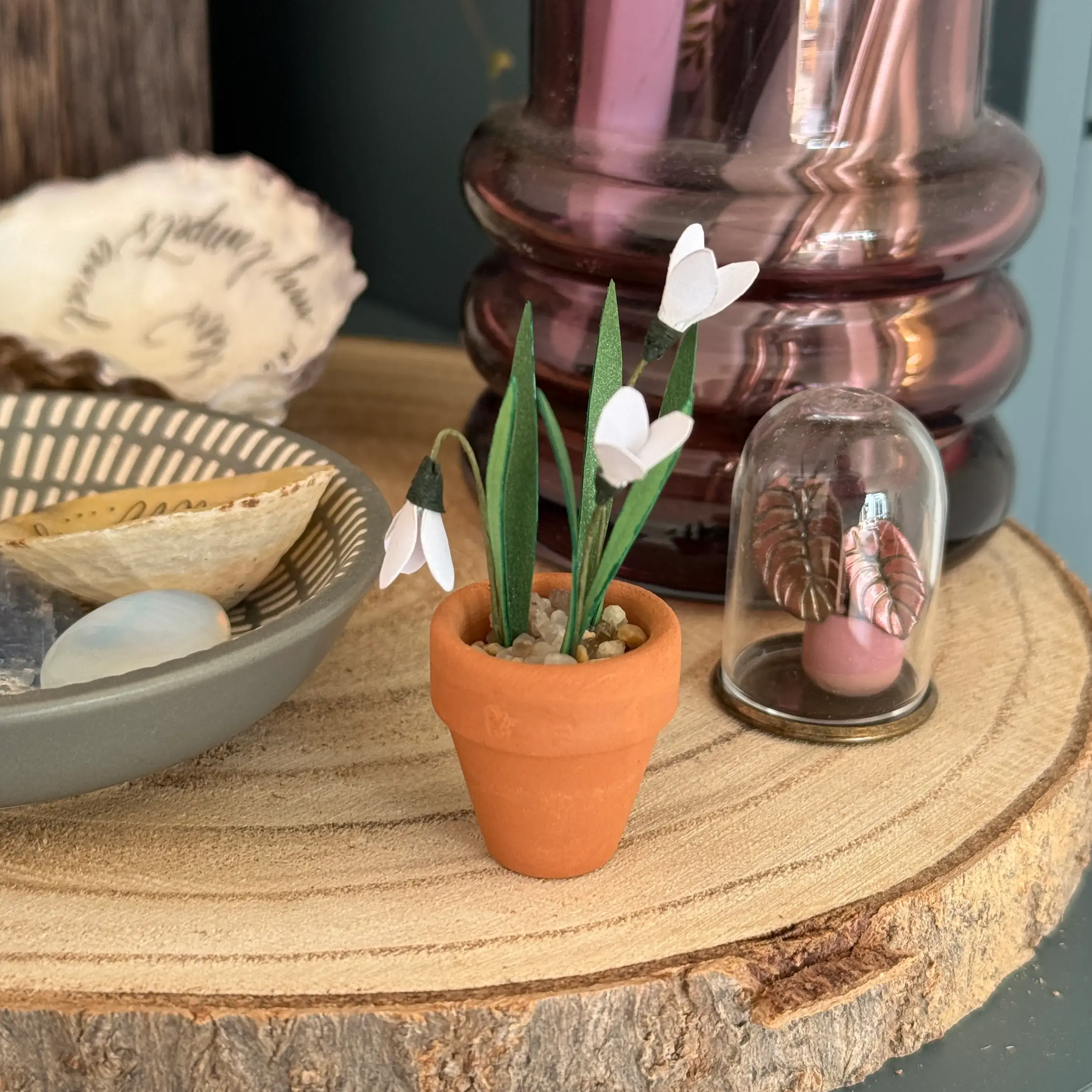 Snowdrop