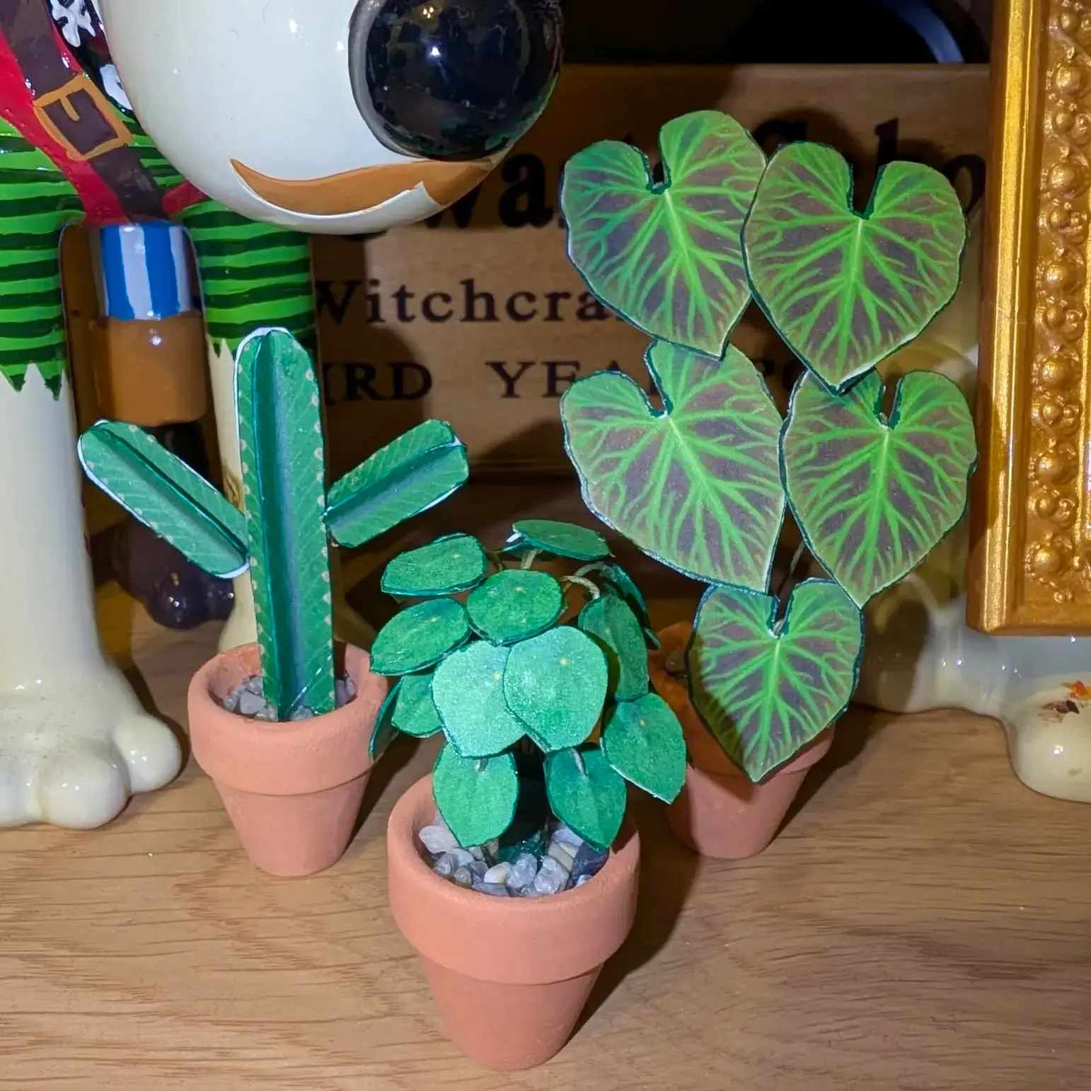 Philodendron Verrucosum UGC 15