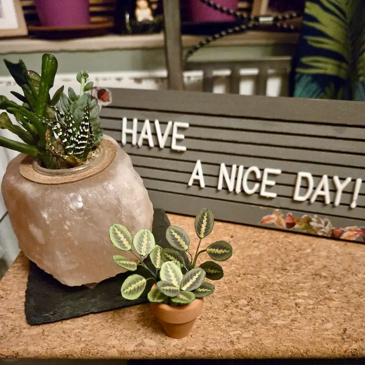 Prayer Plant UGC 19