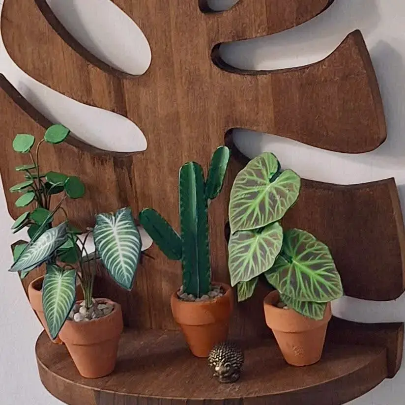 Philodendron Verrucosum UGC 16