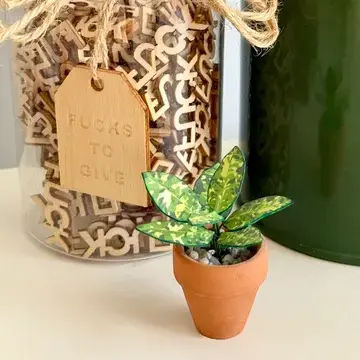 Aglaonema Pictum Tricolor 1