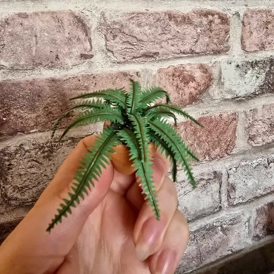 Fern UGC 2