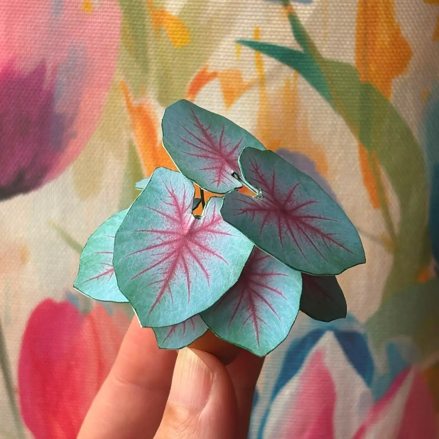 Caladium Mint Julep UGC 3