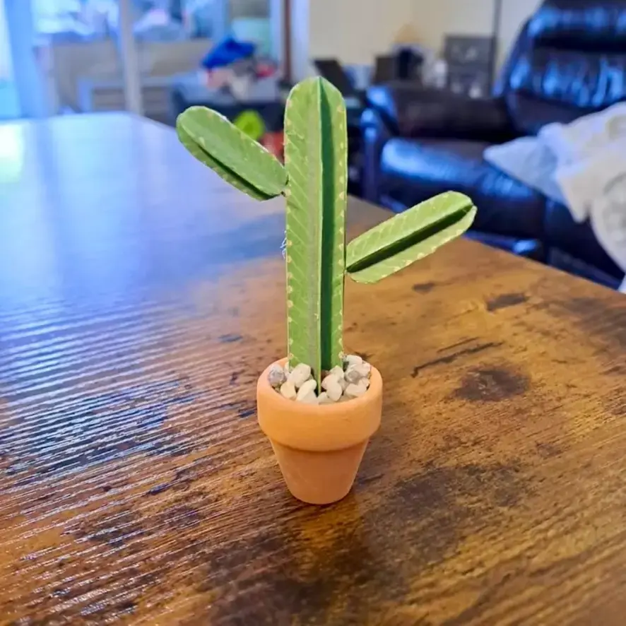 Euphorbia Ingens UGC 8