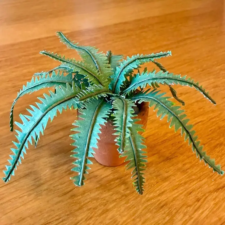 Fern UGC 16