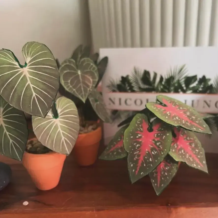 Gloriosum UGC 15