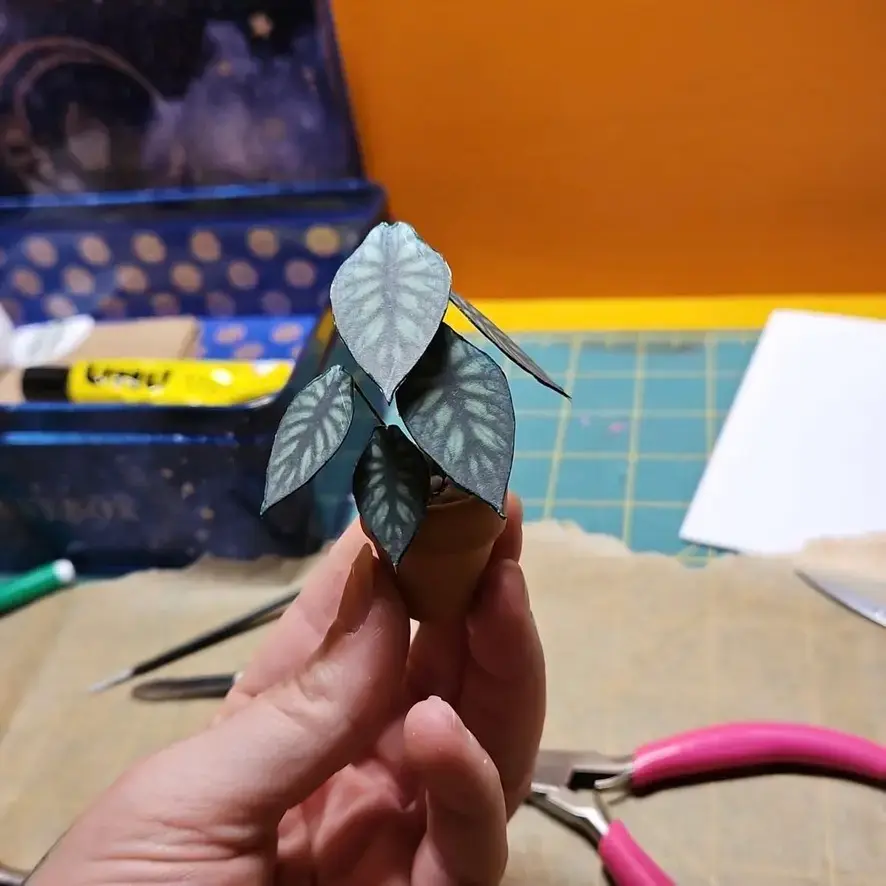 Alocasia Dragon Scale UGC 10