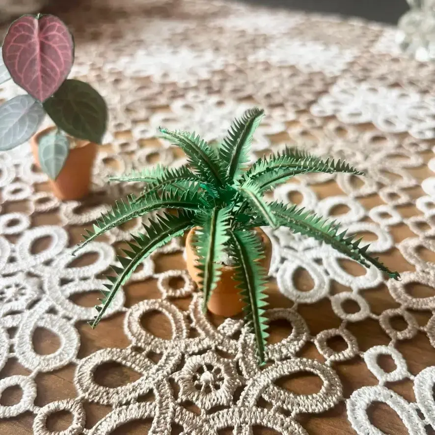 Fern UGC 19
