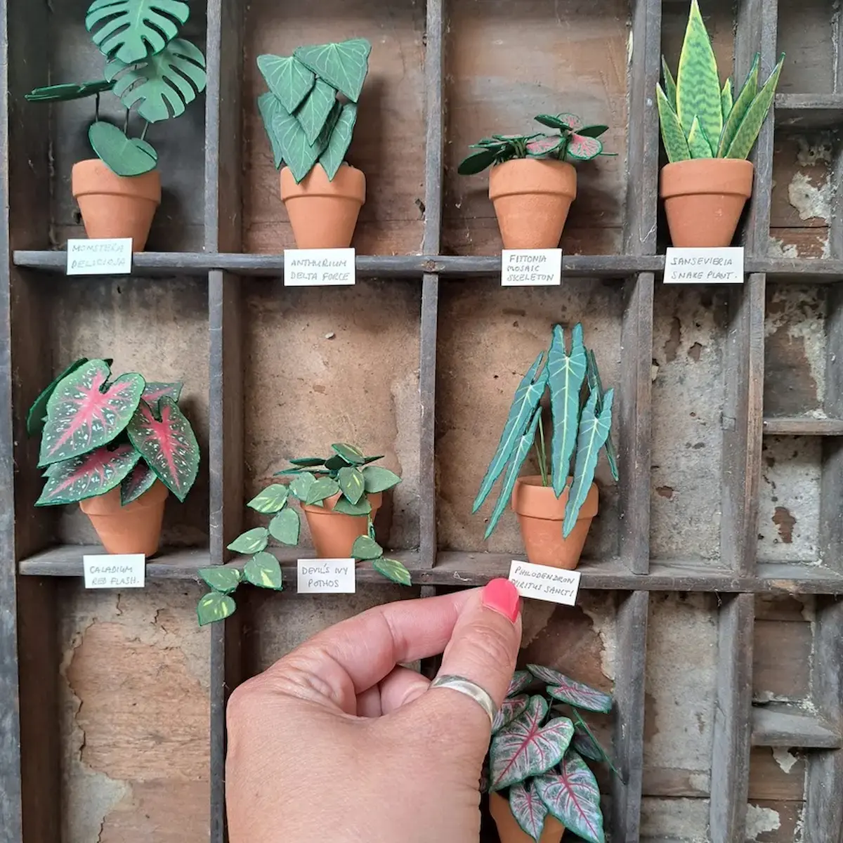 Miniature paper plants displayed in a vintage printer’s tray with labels