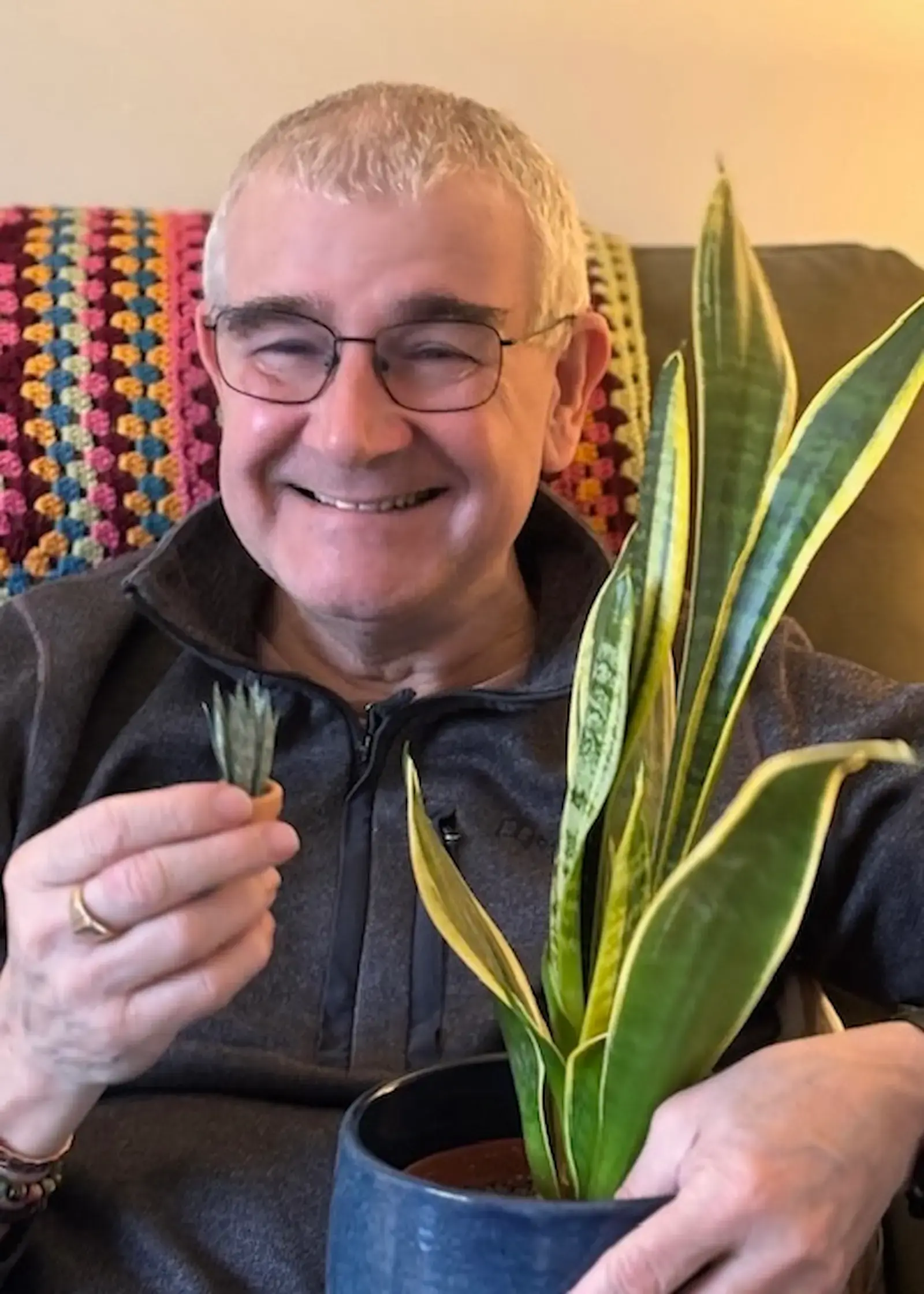 Customer holding a miniature paper snake plant beside a full-size snake plant