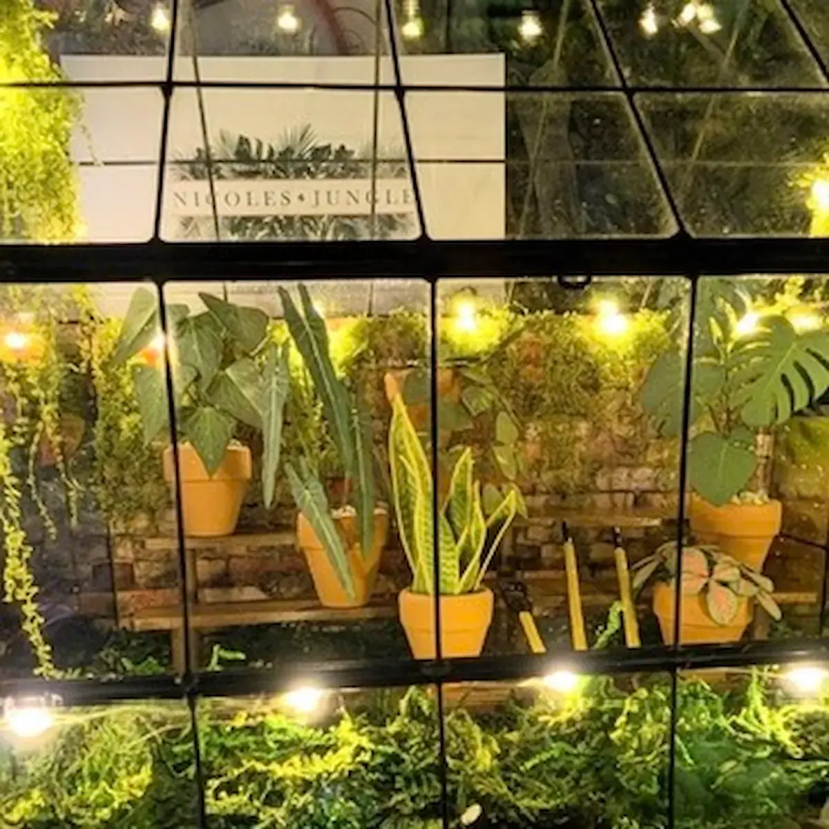 Miniature paper plants inside a glass greenhouse cabinet with fairy lights