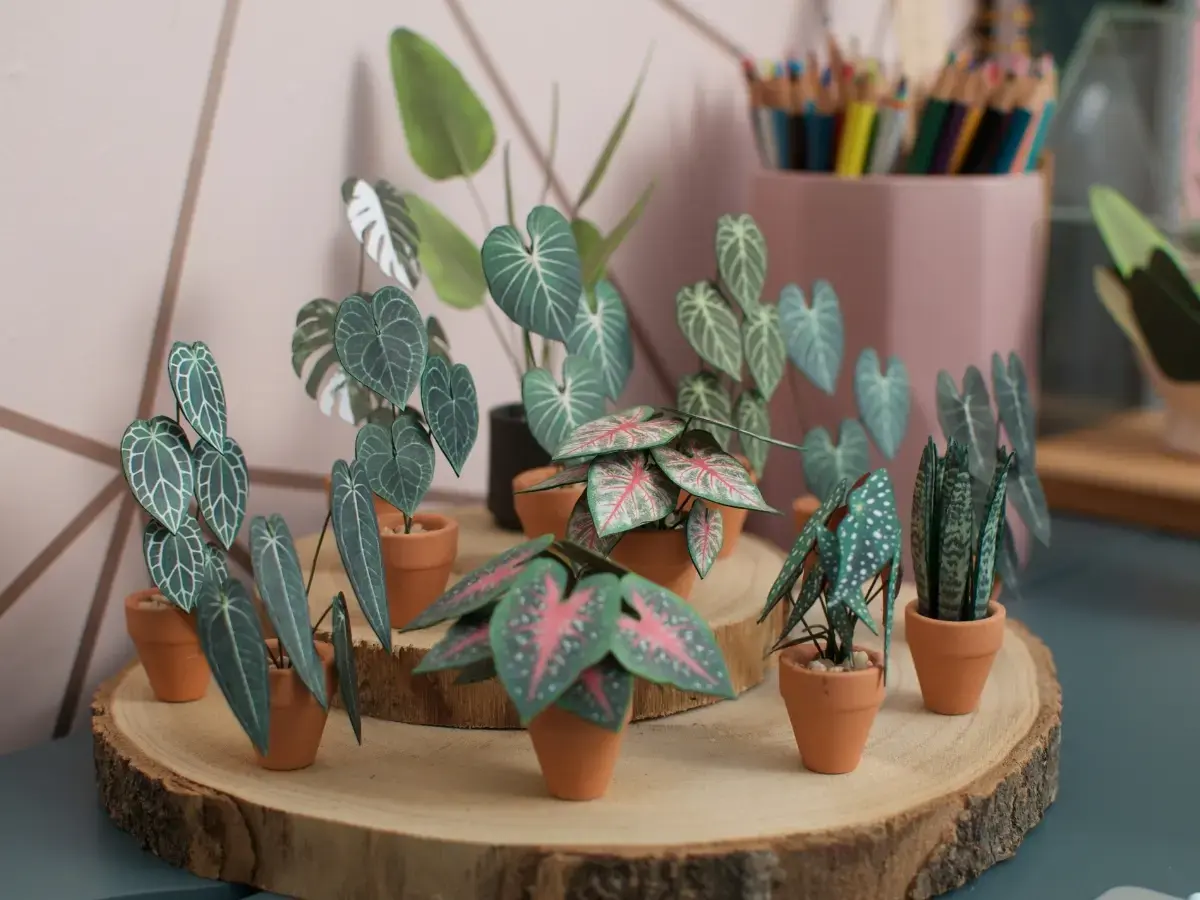Handmade miniature paper plants displayed together