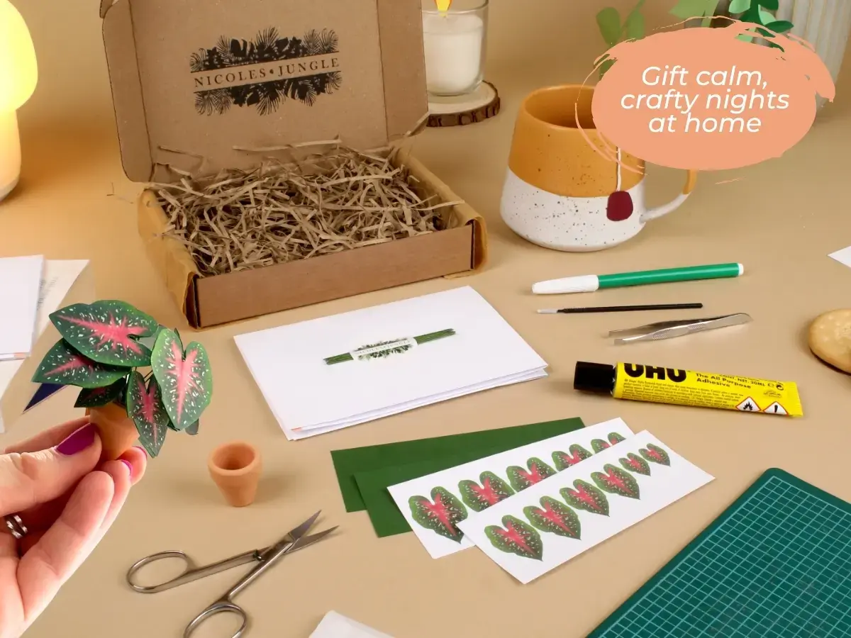 Nicole's Jungle paper plant gift box with tiny handmade plants