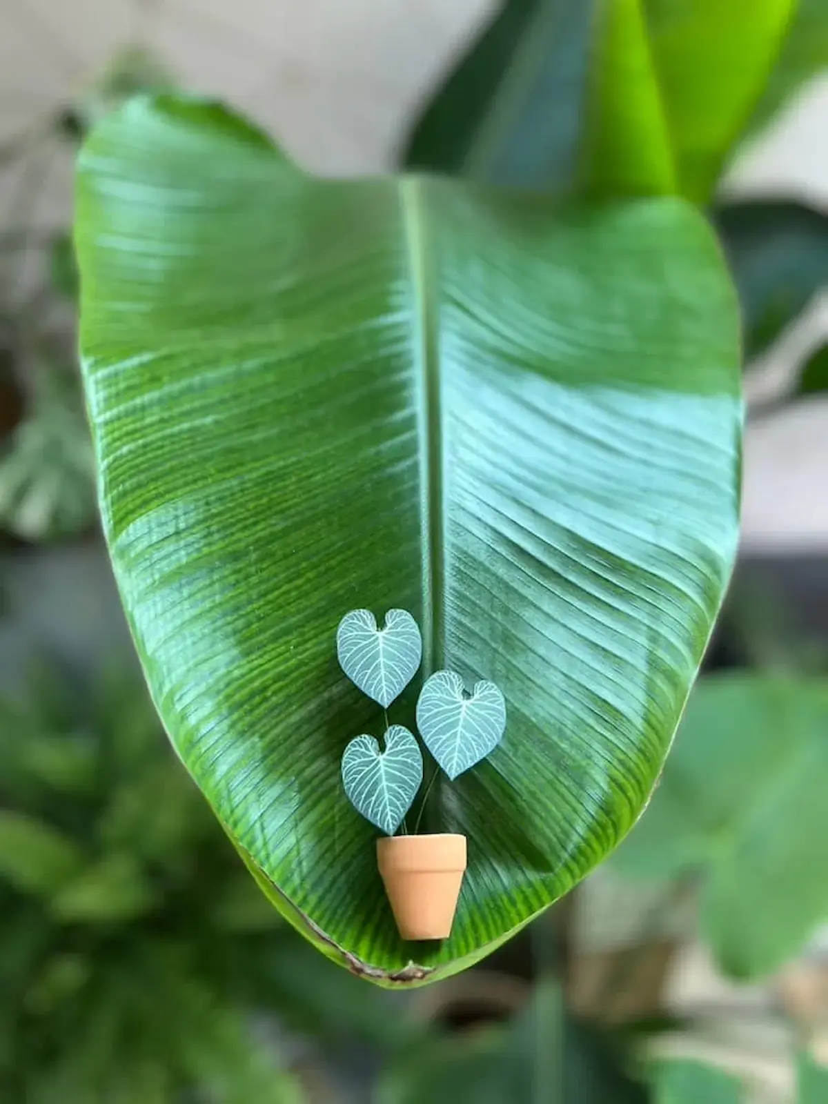 Miniature paper Anthurium regale against a real leaf background
