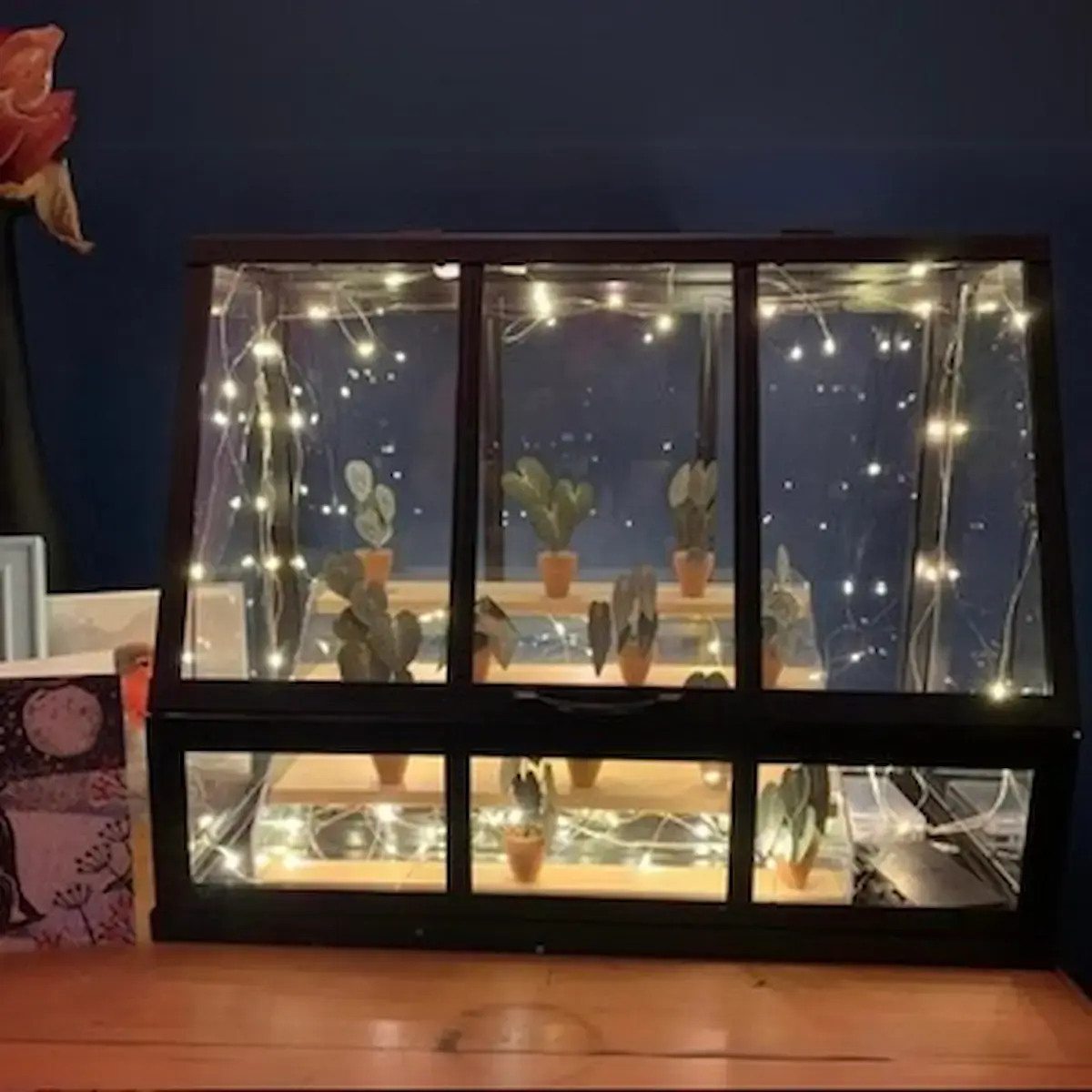 Customer greenhouse display made from a black window frame with fairy lights