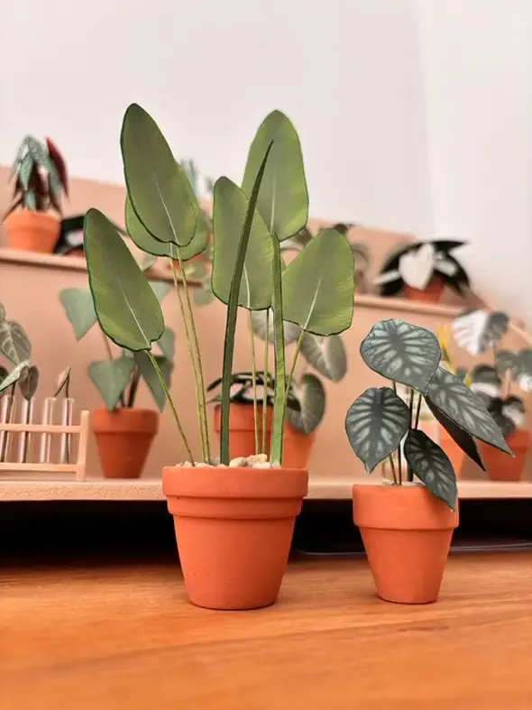 Nicole's Jungle paper plant collection photo 7