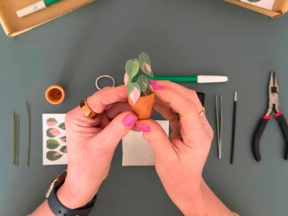 Miniature paper Pink Princess plant by Nicole’s Jungle