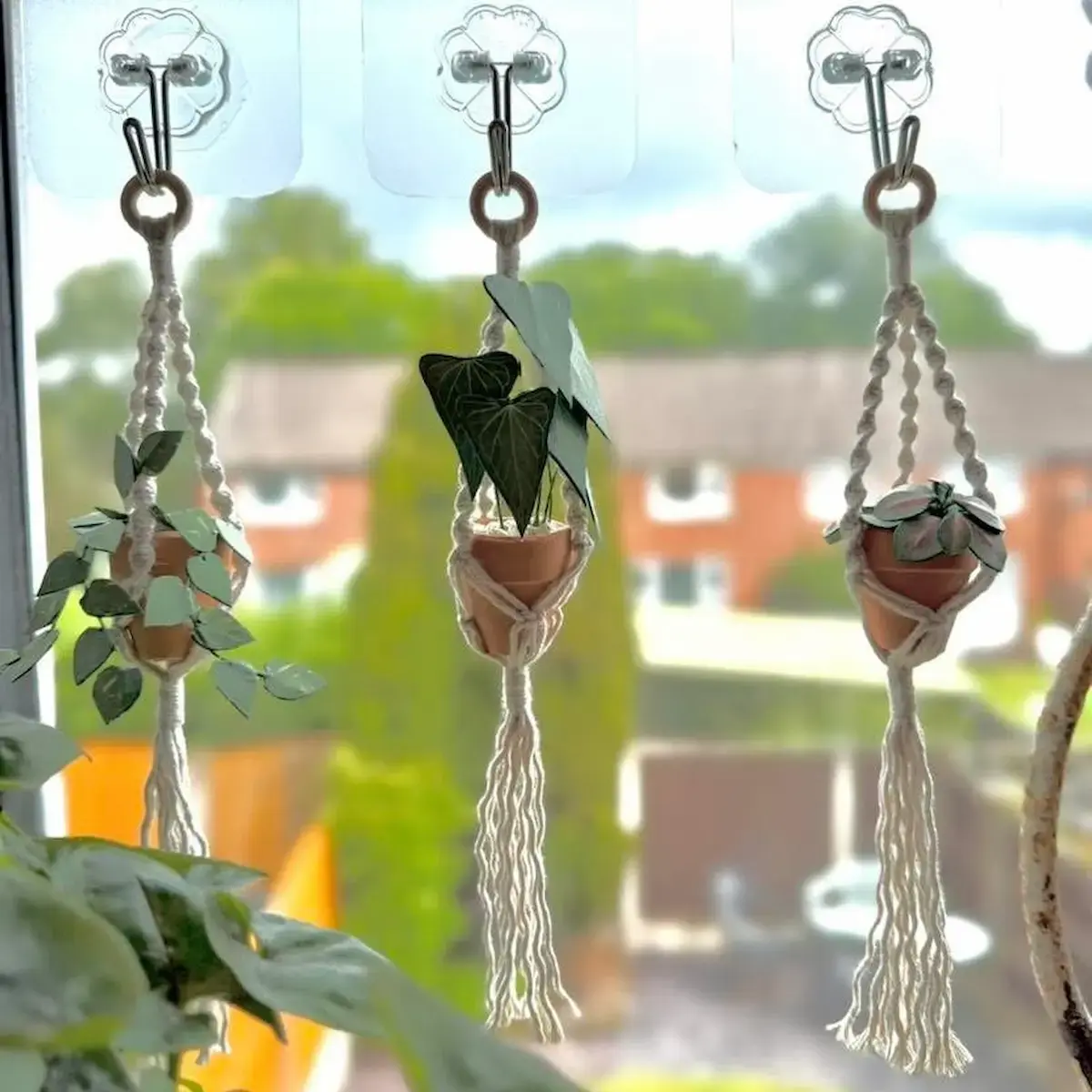 Three miniature paper plants hanging in macramé holders on a window