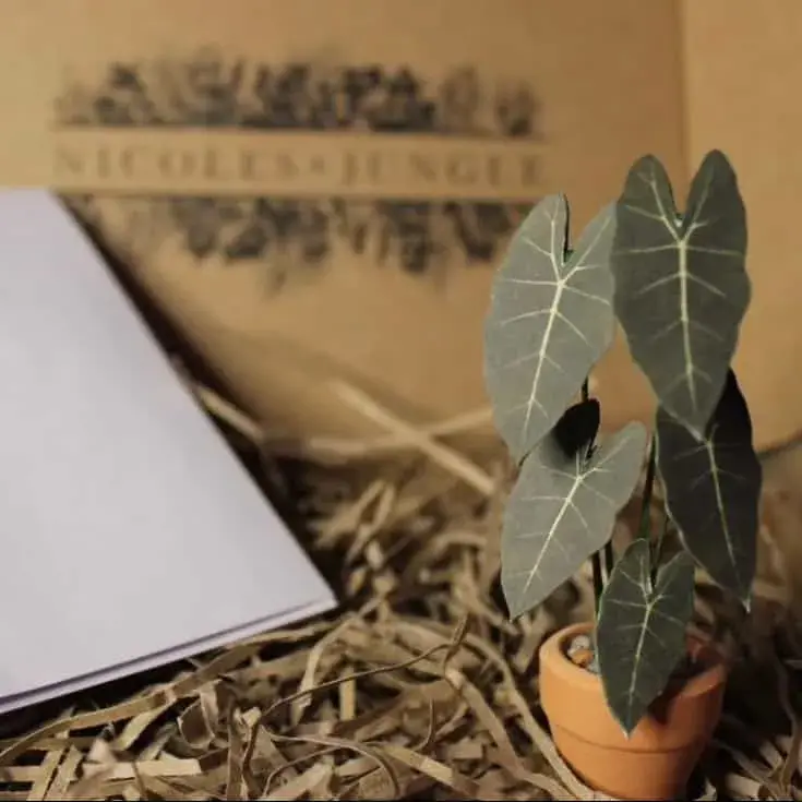 Handmade miniature paper Alocasia frydek from a subscriber