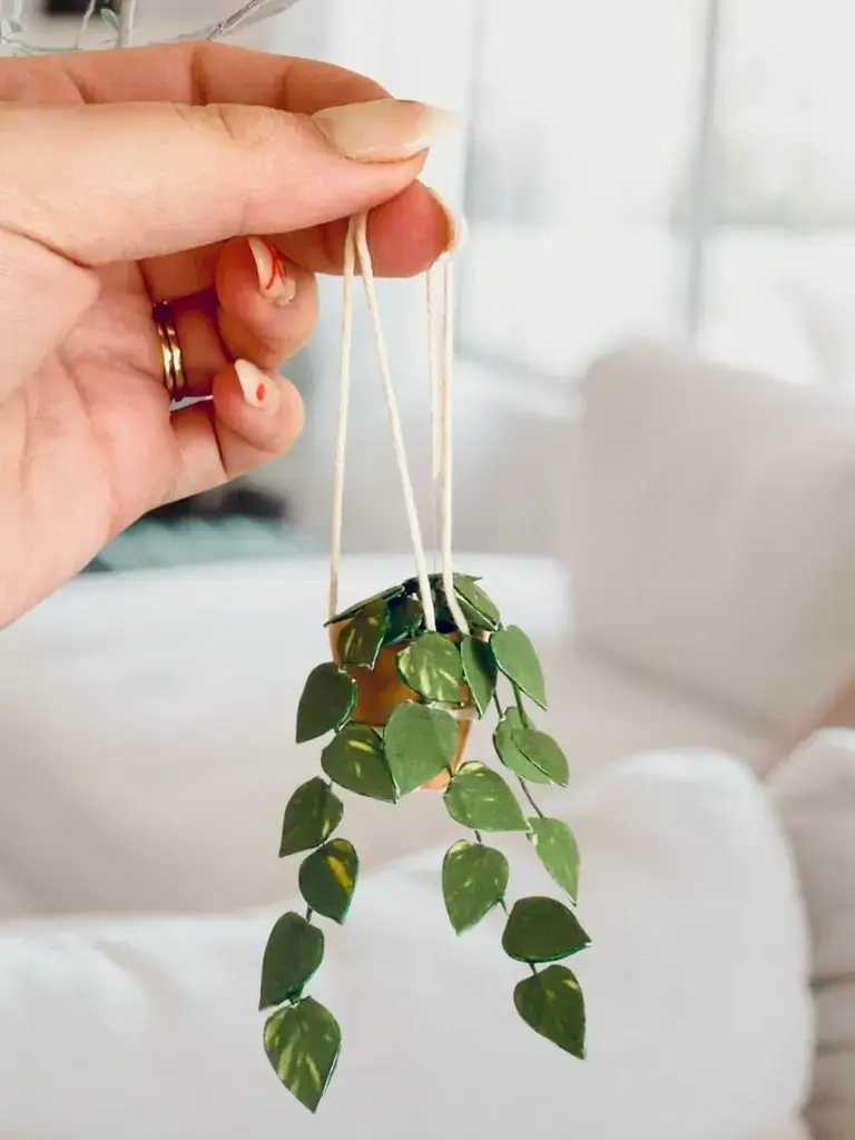 Miniature paper trailing pothos in a tiny terracotta pot held in a hand