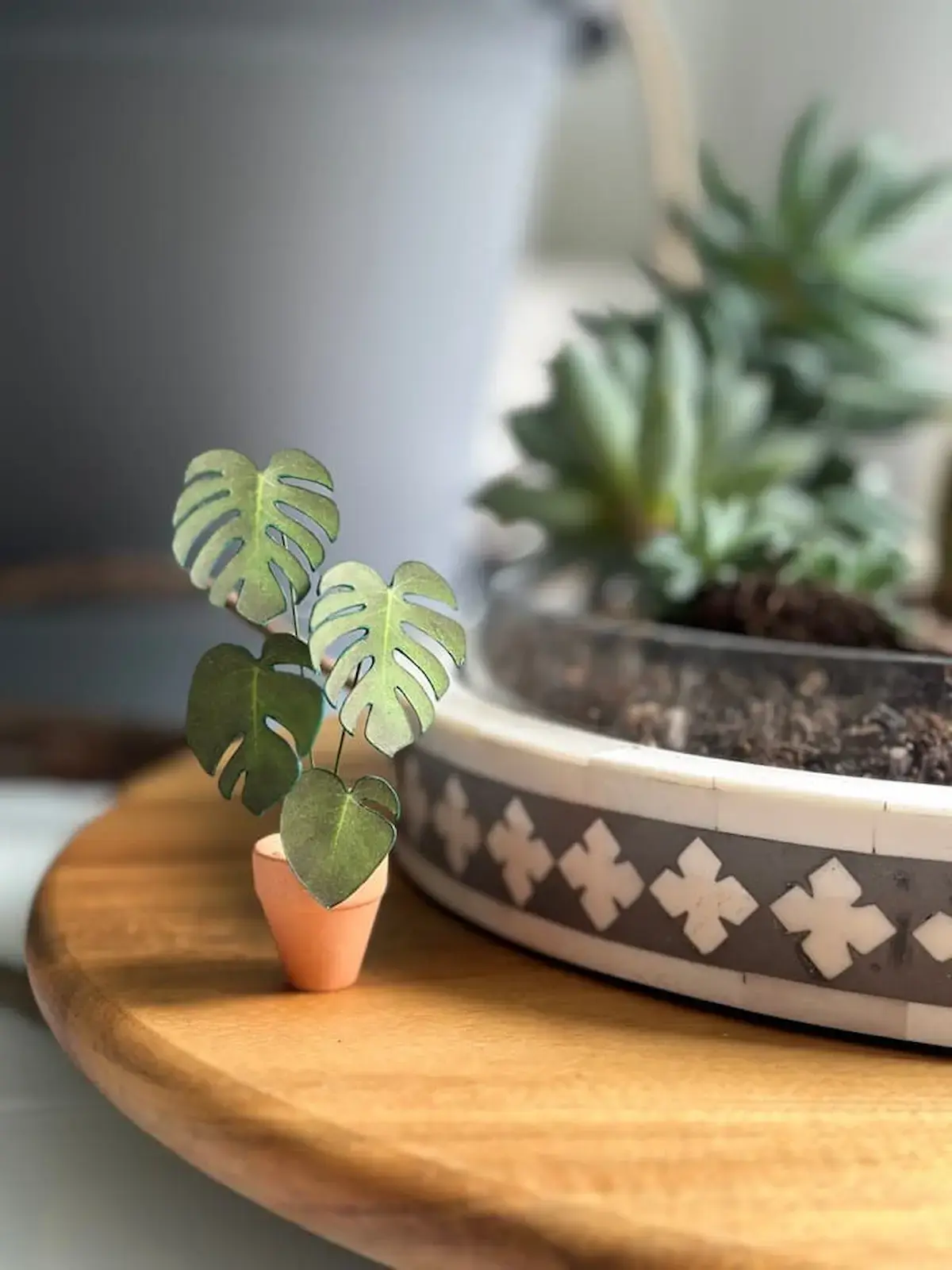 Miniature paper Monstera in a tiny terracotta pot