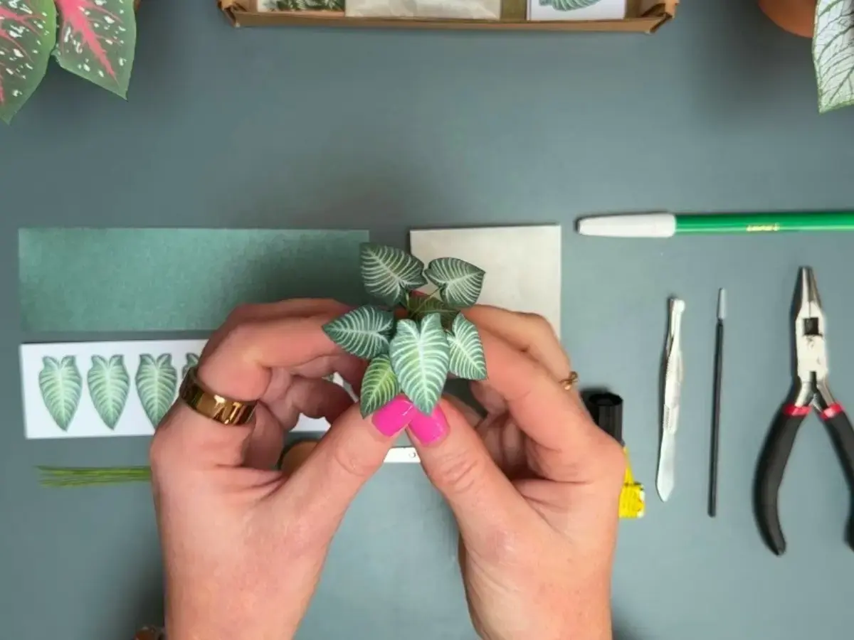 Miniature paper Xanthosoma plant by Nicole’s Jungle