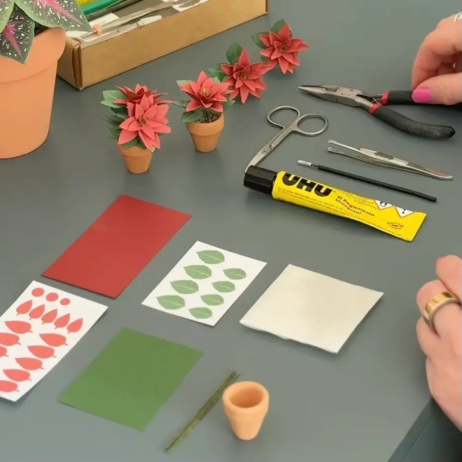 Poinsettia kit contents including craft tools and materials