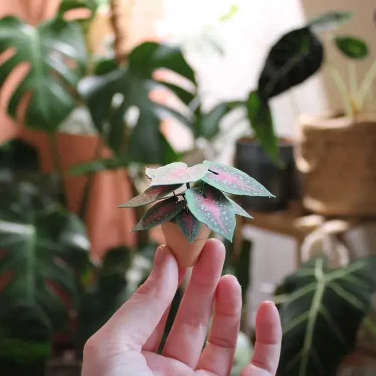 Handmade miniature paper Caladium Red Flash from a subscriber