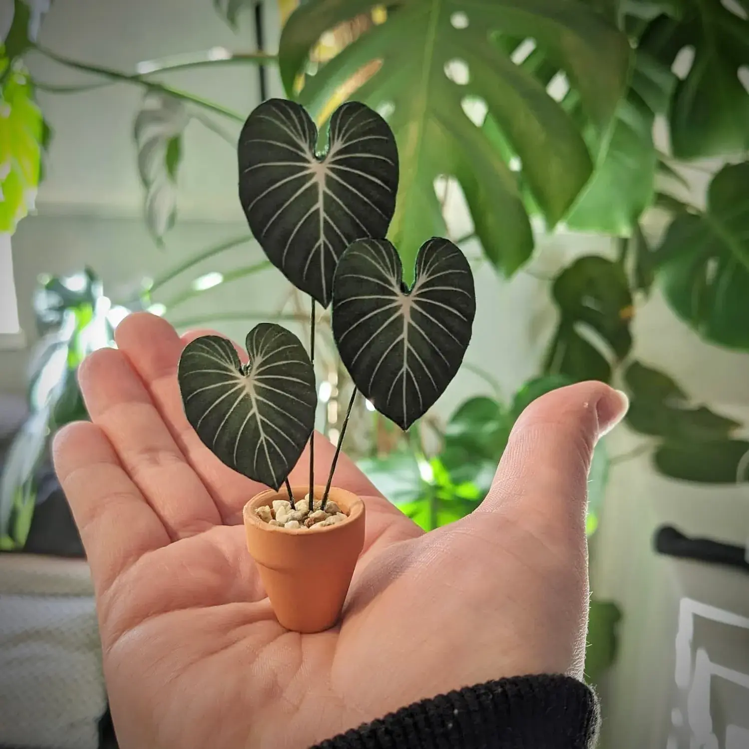 Miniature paper Philodendron gloriosum made by a subscriber