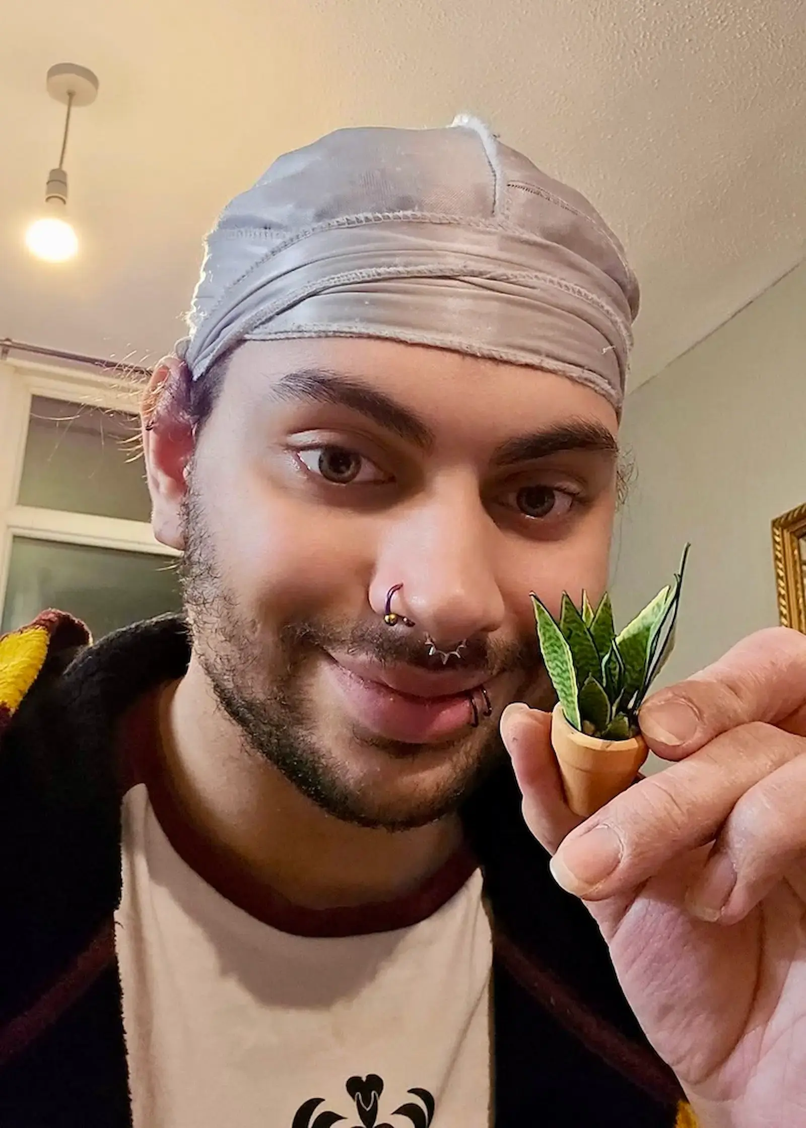 Customer holding a miniature paper snake plant in a terracotta pot