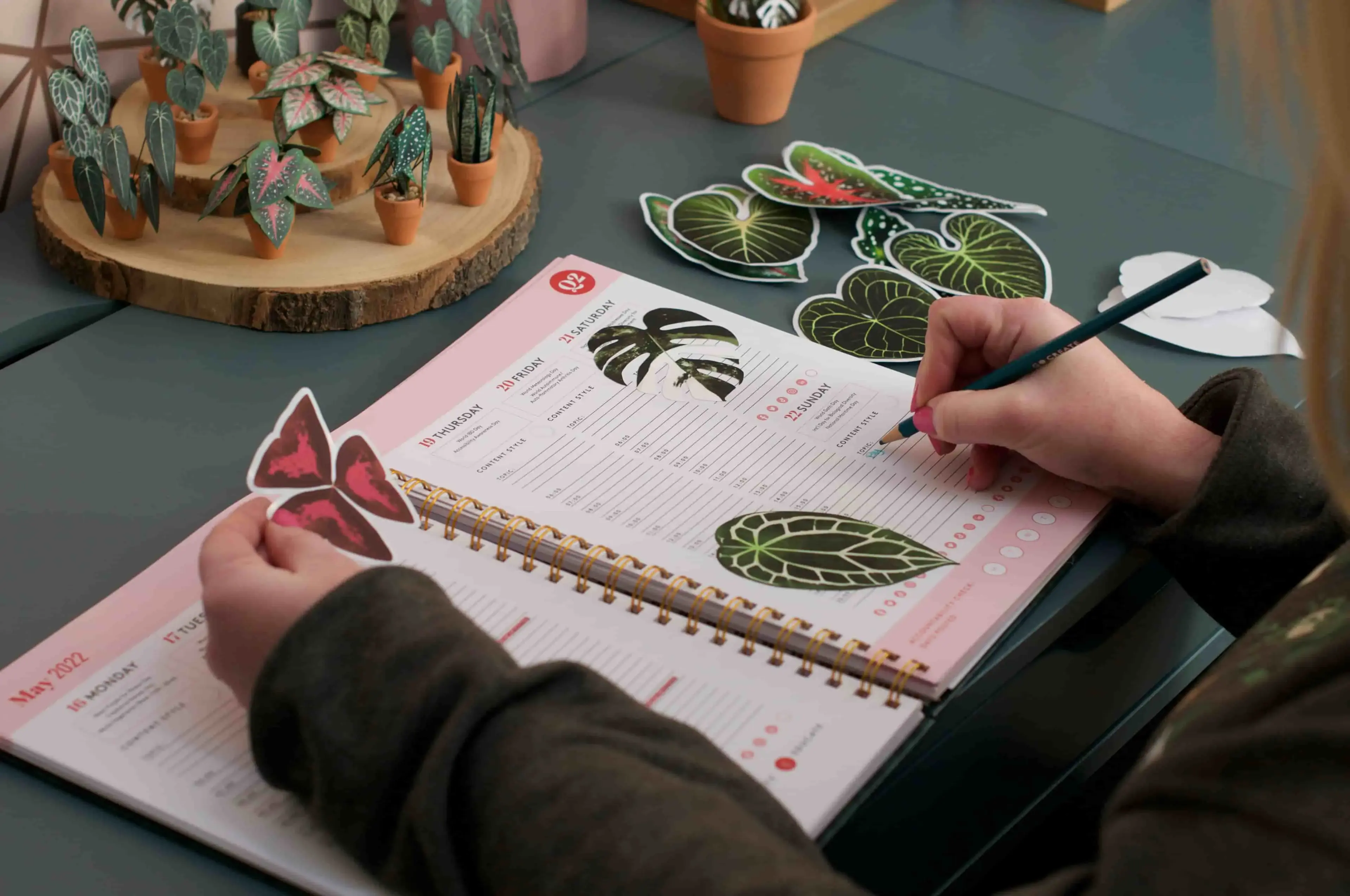 Notebook with botanical sketches